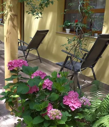 Oazis Apartman